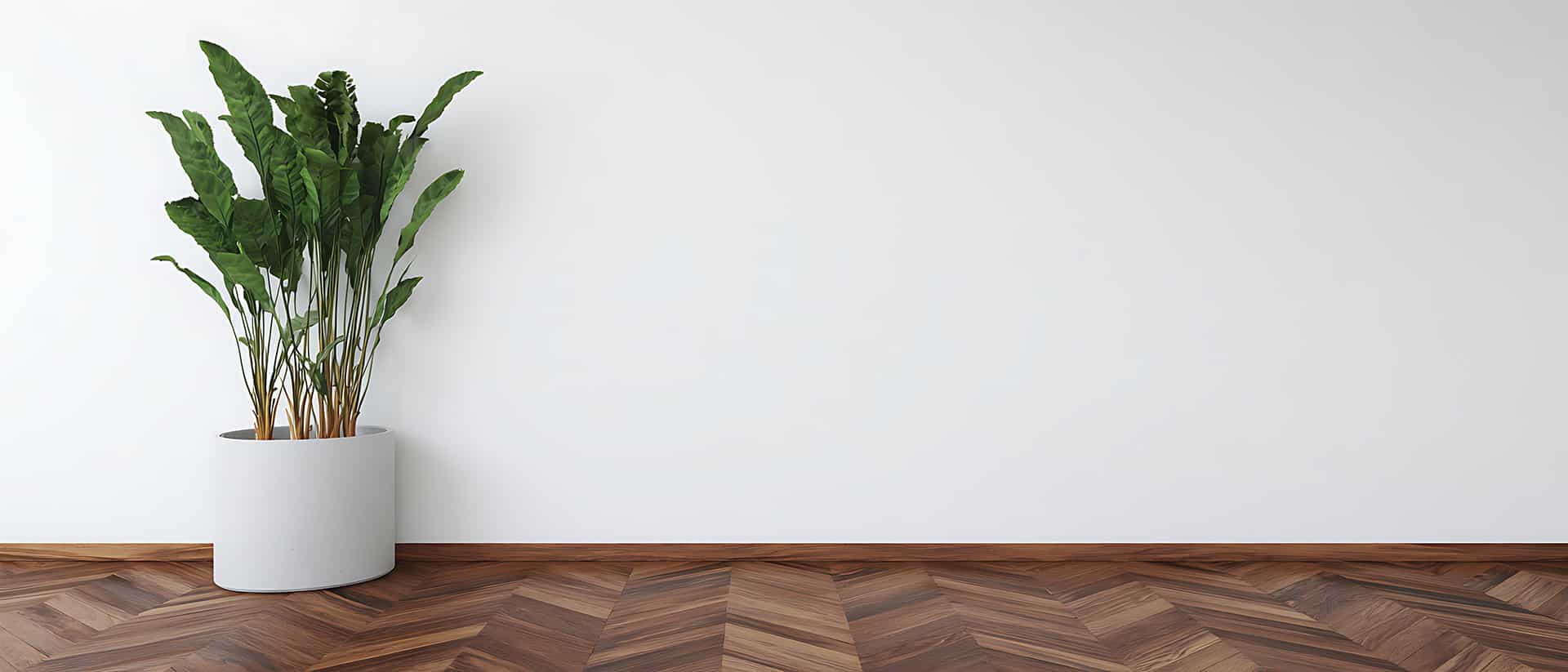 Chevronmønstret tregulv med grønn plante mot hvit vegg i minimalistisk rom
